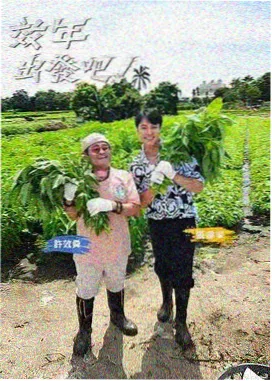 纸上运动会综艺手账拼贴卡片